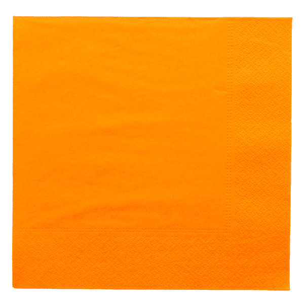 Serviette 2 plis
